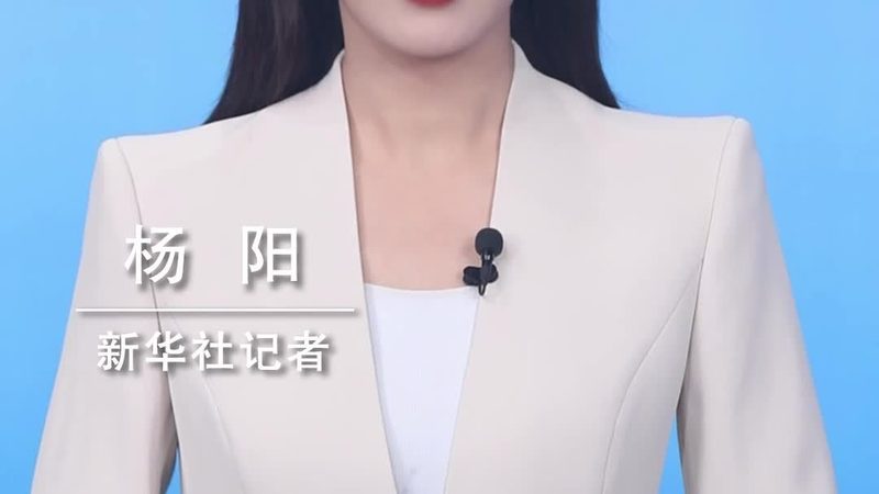 小分子医药研发外包：揭秘高效流程与关键要素**