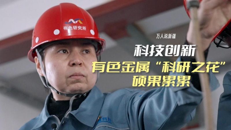 商业智能决策支持平台的选型逻辑与技术验证要点